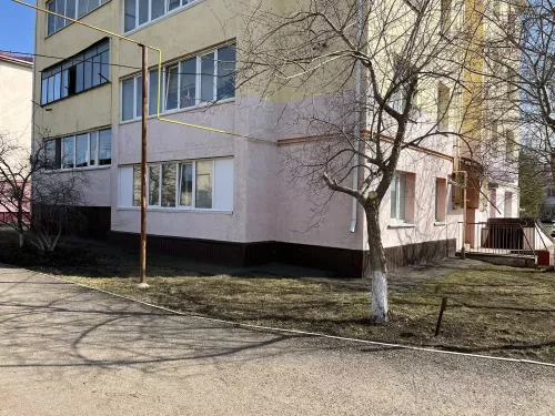 Чистота начинается с нас: как жители ТОС «Центральный» превратили свой двор в образец уюта