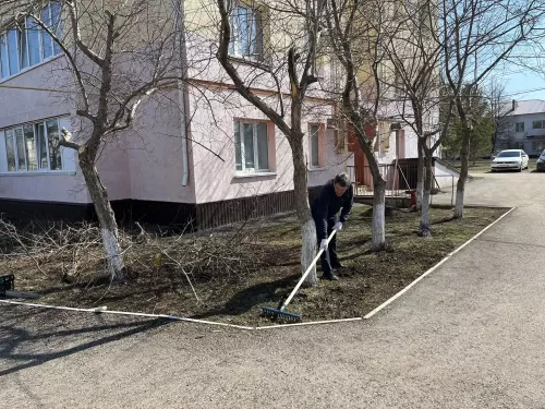Чистота начинается с нас: как жители ТОС «Центральный» превратили свой двор в образец уюта