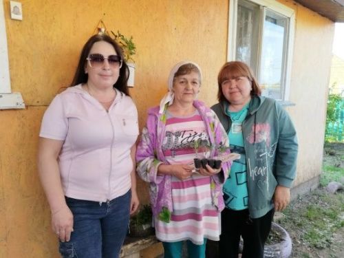 Тепло в каждый дом: рассада для семей героев