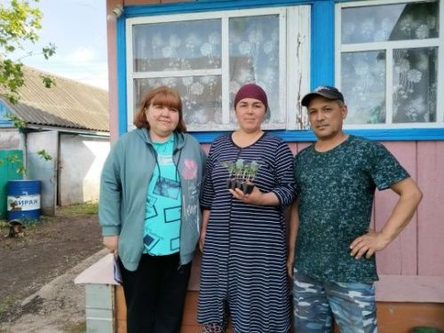 Тепло в каждый дом: рассада для семей героев