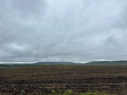 Татарстанда 9 майда көчле җил көтелә — секундына 18 метрга кадәр