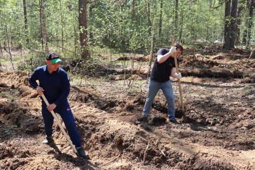 Сотрудники Госкомитета РТ по тарифам высадили более 1 000 елей в рамках акции «Сад памяти»