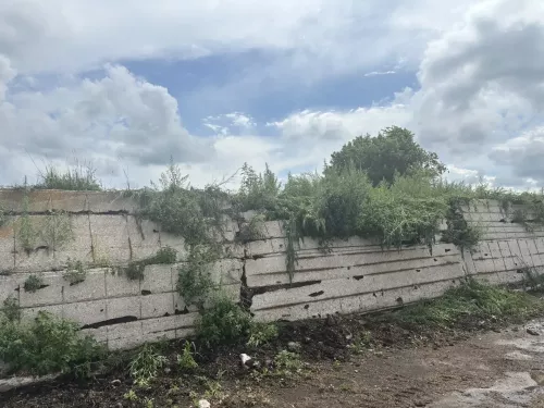 В Ютазинском районе уничтожили очаги конопли, а главам поселений вынесли предостережения
