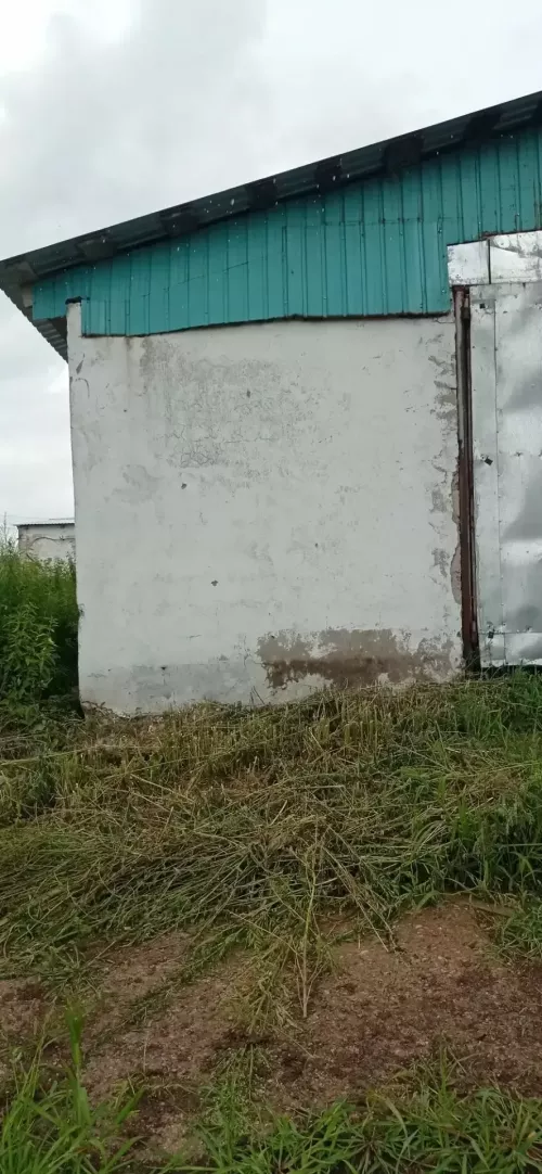 В Ютазинском районе уничтожили очаги конопли, а главам поселений вынесли предостережения