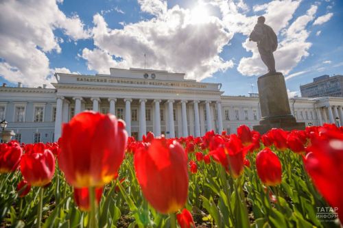 Последний шанс: приём заявлений на бюджет в вузах закроется 25 июля
