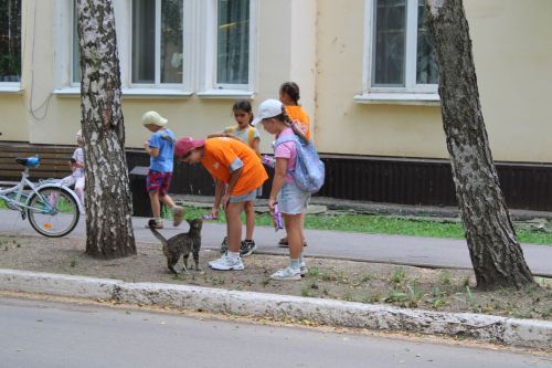 Маленькое дело с большим сердцем: юные волонтёры из «Атланта» накормили бездомных кошек