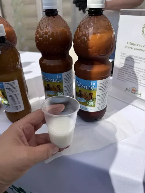 Кумыс в этот день пробовали все и мы тоже