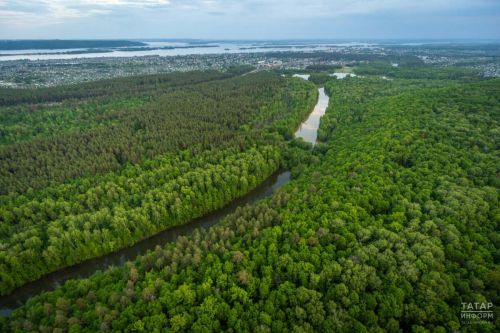 В Татарстане в рамках нацпроекта создано почти 2,4 тыс. км новых лесных противопожарных барьеров