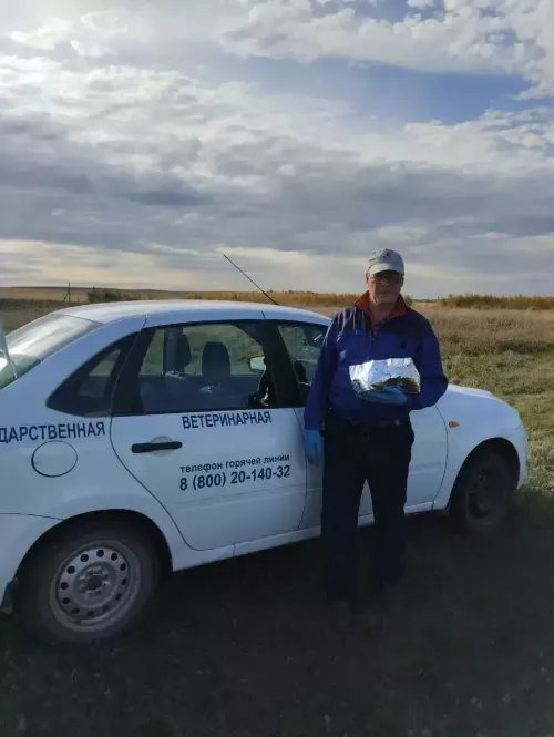 Хайваннар сәламәтлеге турындагы хәстәрлек белән – район иминлегенә