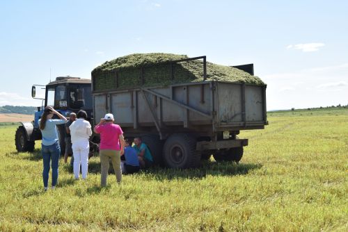 Ютазинские аграрии – универсалы