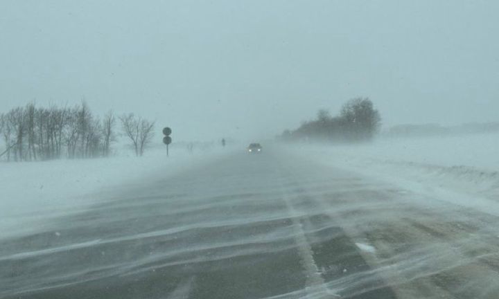 Погода решила напоследок устроить нам «экзамен» — но весна уже на пороге