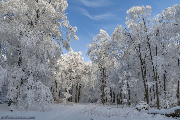 Во вторник, 8 января, в Татарстане ожидается сильная облачность с прояснениями.