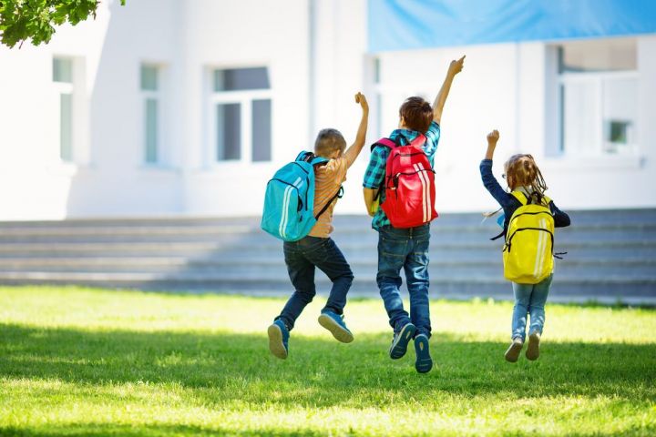 Родительское сообщество Татарстана требует ввести пятидневку в школах