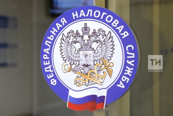МФЦ Татарстана проконсультировали 1,5 тыс. самозанятых