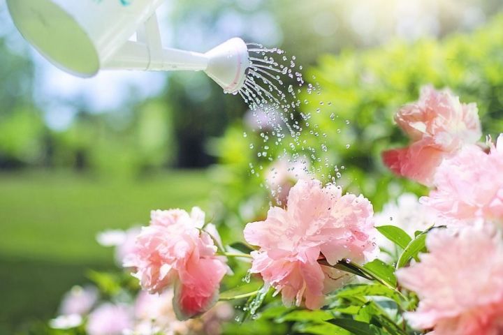 Новые правила 2019 г. пользования водой для дачников и садоводов!