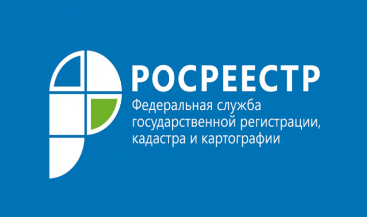 Росреестр Татарстана и Кадастровая палата о реализации закона о «лесной амнистии» на территории республики