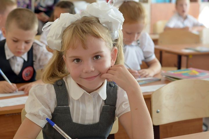 В Татарстане за неделю приостановили учебный процесс в 34 классах