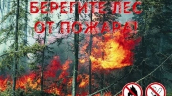 Штормовое предупреждение о высокой пожарной опасности лесов на территории РТ
