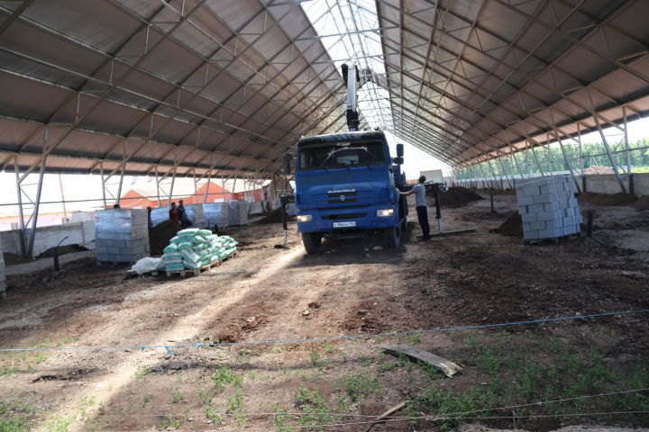 В ООО «АгроМир» продолжается строительство телятника на 450 голов хозспособом
