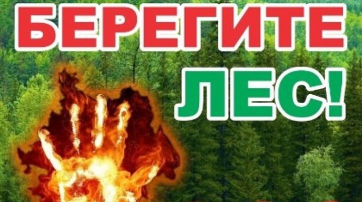 Штормовое предупреждение  о сохранении высокой и чрезвычайной пожарной опасности лесов  на территории Республики Татарстан