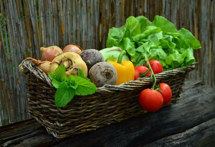 Благоприятные по лунному календарю дни для уборки овощей в сентябре 2020 года
