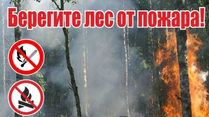 Прогноз высокой пожарной опасности лесов