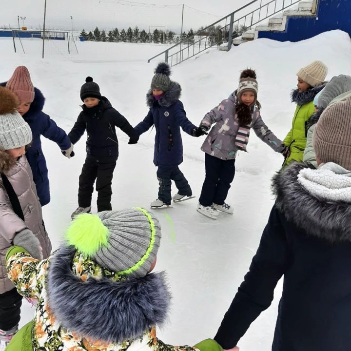 Один из лучших способов провести зимние каникулы, это конечно пойти на каток