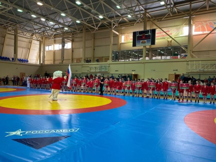 Соревнования 18 ноября. Самбо Васильево. Соревнования Республики Татарстан по самбо Васильево 2022 год. Самый лучший тренер по самбо среди девушек. Самбо СЗФО первенство 2022.