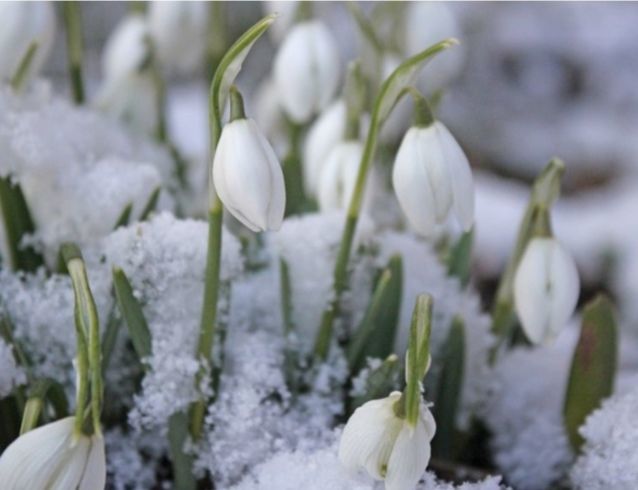 В Татарстане завтра 25 марта ожидается небольшой мокрый снег
