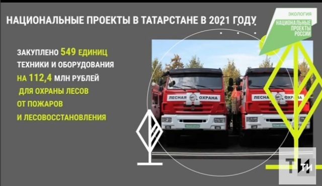 В прошлом  году в Татарстане по нацпроекту восстановлены леса на площади 4,2 тыс. гектаров