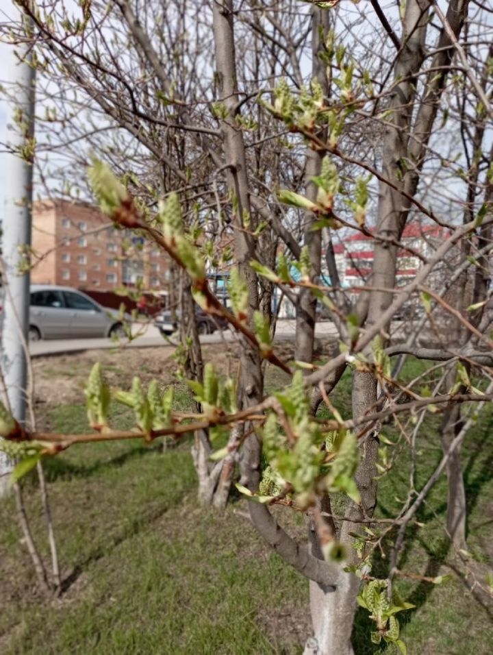 Доброе утро, уруссинцы! Позитивного вам вторника!