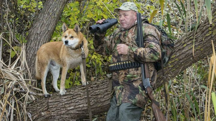 В Татарстане открылся сезон охоты на лося и пушных животных