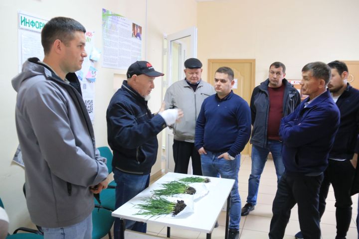 Ютазинские животноводы добились повышения продуктивности скота