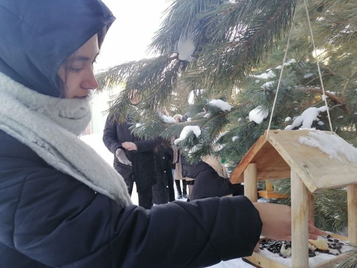 В Татарстане стартует акция по установке кормушек для диких животных