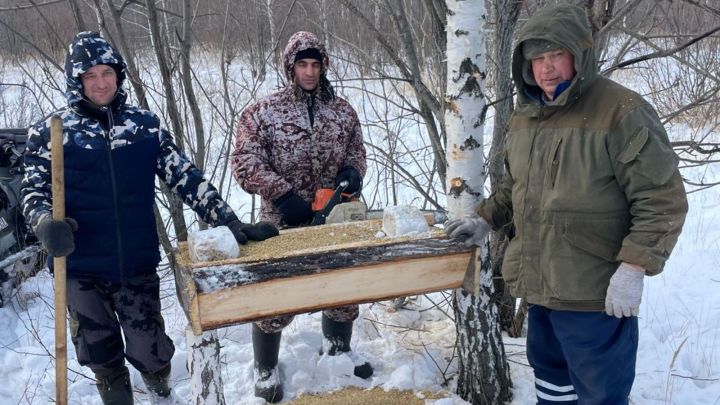 Ежедневная подкормка: Чем сотрудники охотничьих хозяйств подкармливают лосей, косуль и зайцев?