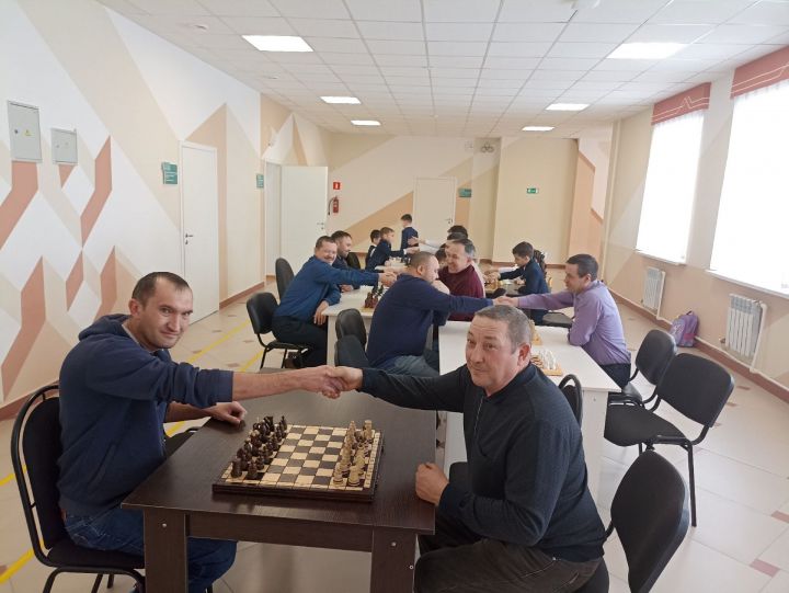 В гимназии состоялся шахматный турнир, посвященный Дню защитникам Отечества