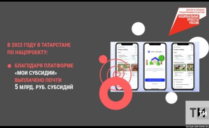 В текущем  году высокоскоростным интернетом обеспечат 78 малонаселенных пунктов Татарстана