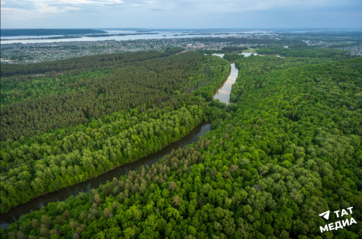 Для защиты рек от диффузных стоков Татарстан высадит лес вдоль берегов