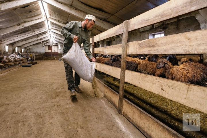 В Татарстане за двадцать лет из сел и деревень уехали 102 тысячи человек