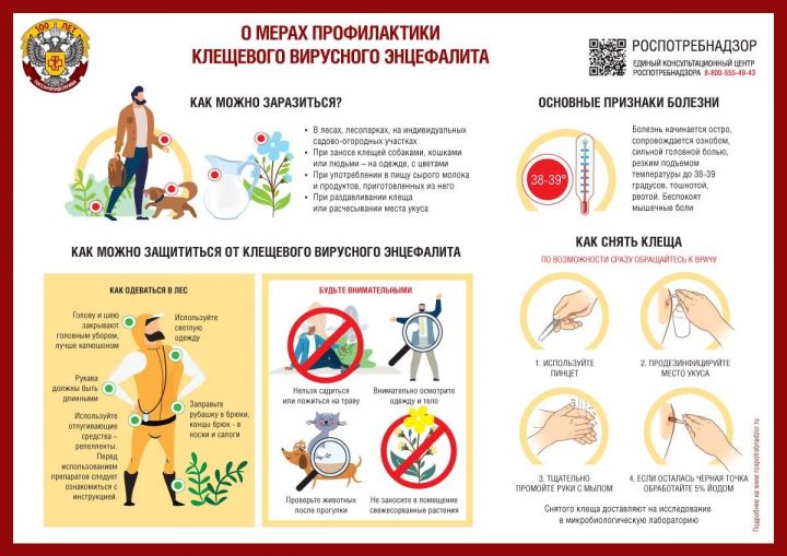 Средства от клещей - какими они бывают