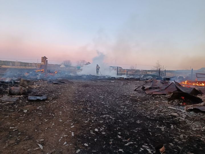 В Татарстане сожженный мусор стал причиной крупного пожара