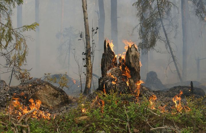 В Татарстане из-за ранней весны все чаще горит сухая трава
