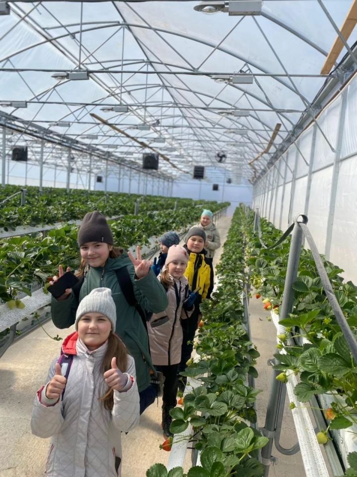 Учащиеся Уруссинской начальной школы посетили ягодный питомник