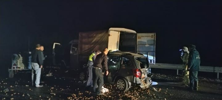 В Татарстане в аварии погибли 2 человека