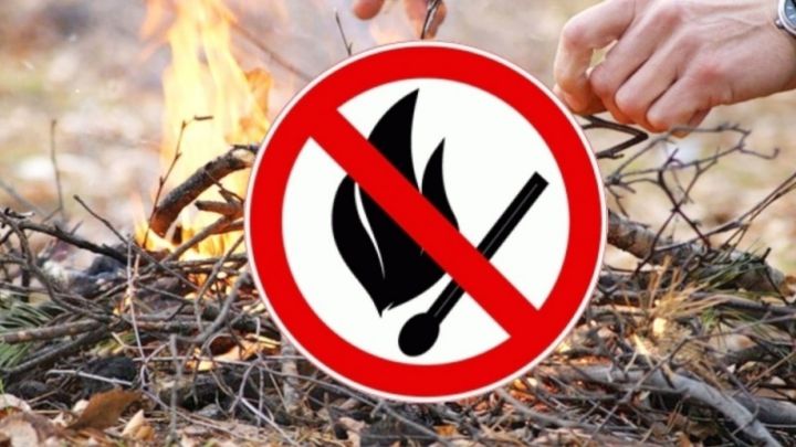 В Татарстане открыт пожароопасный сезон в лесах