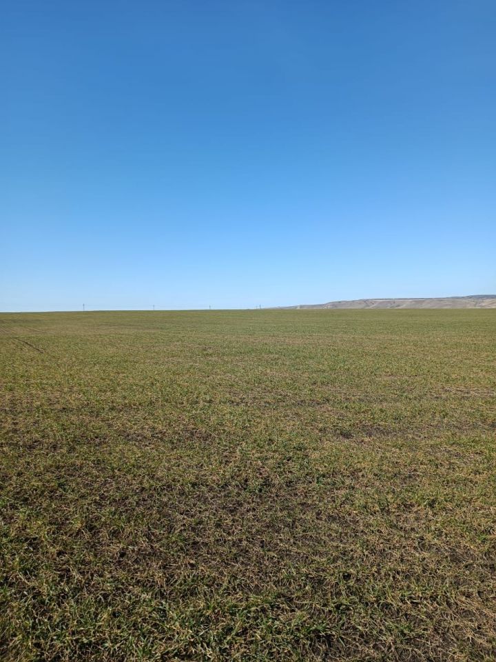 Земледельцы района скоро приступят к подкормке озимых культур