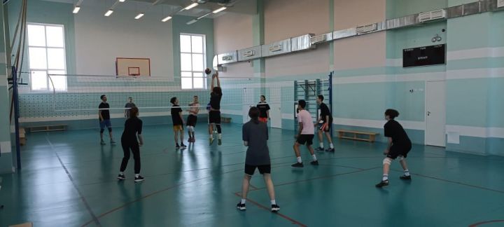 Волейбол любят школьники