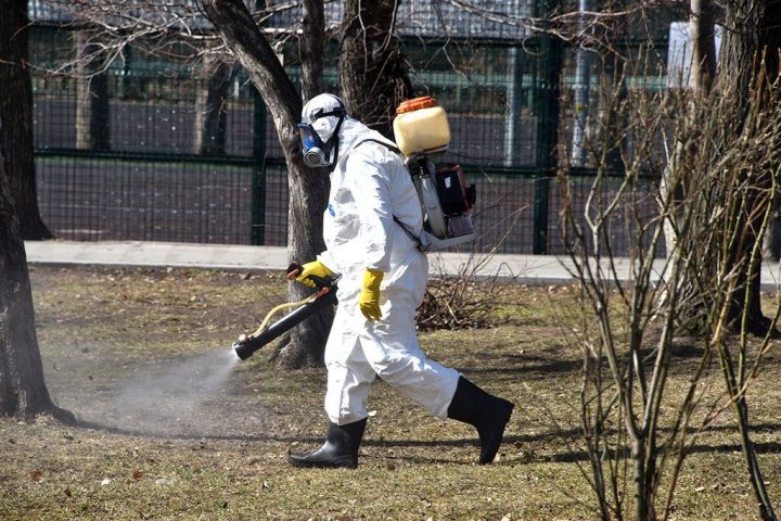 Очаги клещевого энцефалита зарегистрированы в 30 районах Татарстана