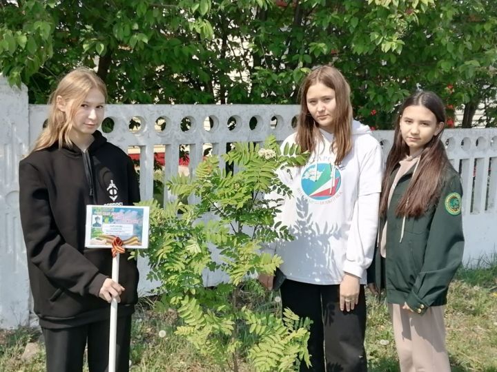 Ютазинские активисты школьного лесничества посадили деревца