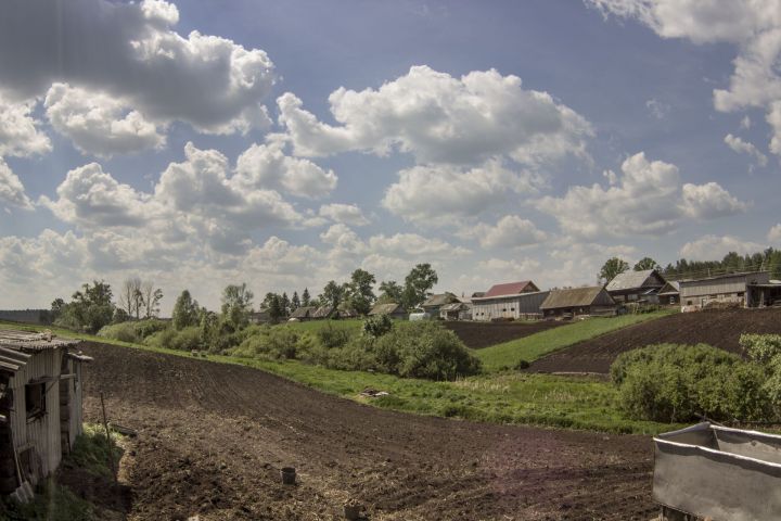 Чем полезен нашатырный спирт в огороде